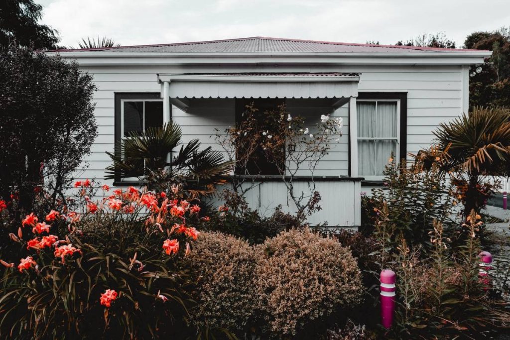 overgrown garden beds attracting rats to Brisbane home exterior